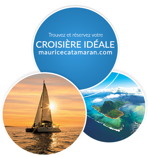 Advance Booking for Catamaran Cruise